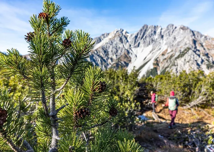 Wald 12 Wald am Arlberg